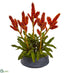 Silk Plants Direct Tropical Bromeliad Artificial Plant - Pack of 1