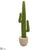 Silk Plants Direct Cactus Artificial Plant - Pack of 1