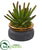 Silk Plants Direct Cactus Artificial Plant - Pack of 1