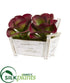 Silk Plants Direct Succulent Artificial Plant - Pack of 1