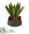 Silk Plants Direct Succulent and Sansevieria Artificial Plant - Pack of 1