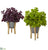 Silk Plants Direct Basil Artificial Plant in Tin Planter with Legs - Pack of 2