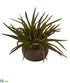 Silk Plants Direct Aloe Succulent Artificial Plant - Pack of 1