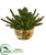 Silk Plants Direct Succulent Artificial Plant - Pack of 1