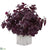 Silk Plants Direct Basil Artificial Plant - Burgundy - Pack of 1