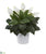 Silk Plants Direct Spathiphyllum Artificial Plant - Pack of 1