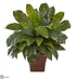 Silk Plants Direct  Birds Nest Fern Artificial Plant - Pack of 1