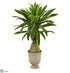 Silk Plants Direct Dracaena Artificial Plant - Pack of 1