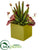 Silk Plants Direct Succulent Artificial Plant - Pack of 1