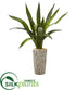 Silk Plants Direct Sansevieria Artificial Plant - Pack of 1