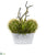 Silk Plants Direct Cactus and Agave Succulent Artificial Plant - Pack of 1