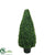 Outdoor Basil Cone Topiary - Green - Pack of 2