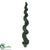 Outdoor Cypress Spiral Topiary Tree - Green - Pack of 1