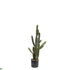 Silk Plants Direct Outdoor Cactus - Green - Pack of 2