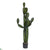 Outdoor Cactus - Green - Pack of 2