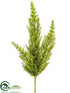 Silk Plants Direct Asparagus Fern Bush - Green - Pack of 12