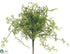 Silk Plants Direct Baby's Tear Bush - Green - Pack of 12