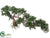 Trailing Cedar Bonsai - Green - Pack of 2