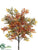 Boxwood Bush - Mustard Orange - Pack of 12