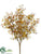 Boxwood Bush - Fall - Pack of 12