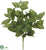 Basil Leaf Bush - Green - Pack of 12