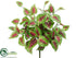 Silk Plants Direct Coleus Bush - Red Green - Pack of 12