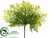 Cedar Bush - Green Two Tone - Pack of 24