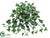 Ivy Hanging Bush - Green White - Pack of 36