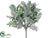 Dusty Miller Bush - Green Gray - Pack of 12