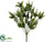 Eucalyptus Bush - Green - Pack of 12