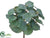 Silk Plants Direct Eucalyptus Bush - Green Gray - Pack of 12