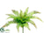 Silk Plants Direct Leather Fern Bush - Green - Pack of 12