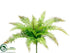 Silk Plants Direct Leather Fern Bush - Green - Pack of 12