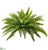 Boston Fern Bush - Green - Pack of 6