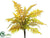 Mixed Fern Bush - Green Gold - Pack of 12