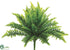 Silk Plants Direct Boston Fern Bush - Green Two Tone - Pack of 12