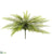 Sword Fern Bush - Green - Pack of 6