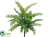 Silk Plants Direct Fish Bone Fern Bush - Green - Pack of 12