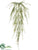 Pencil Fern Hanging Bush - Green - Pack of 12