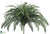 Sword Fern Bush - Green - Pack of 6