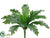 Ruffle Fern Bush - Green - Pack of 12