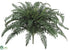 Silk Plants Direct Large Sword Fern Bush - Green - Pack of 4