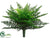 Ruffle Fern Bush - Green - Pack of 6