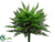 Ruffle Fern Bush - Green - Pack of 4