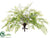 Maidenhair Fern Bush - Green - Pack of 12