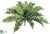 Ruffle Fern Bush - Green - Pack of 6