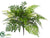 Silk Plants Direct Fern Bush - Green - Pack of 12