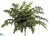 Fern Bush - Green - Pack of 6