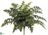 Silk Plants Direct Fern Bush - Green - Pack of 6