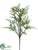 Rabbit Fern Bush - Green - Pack of 12